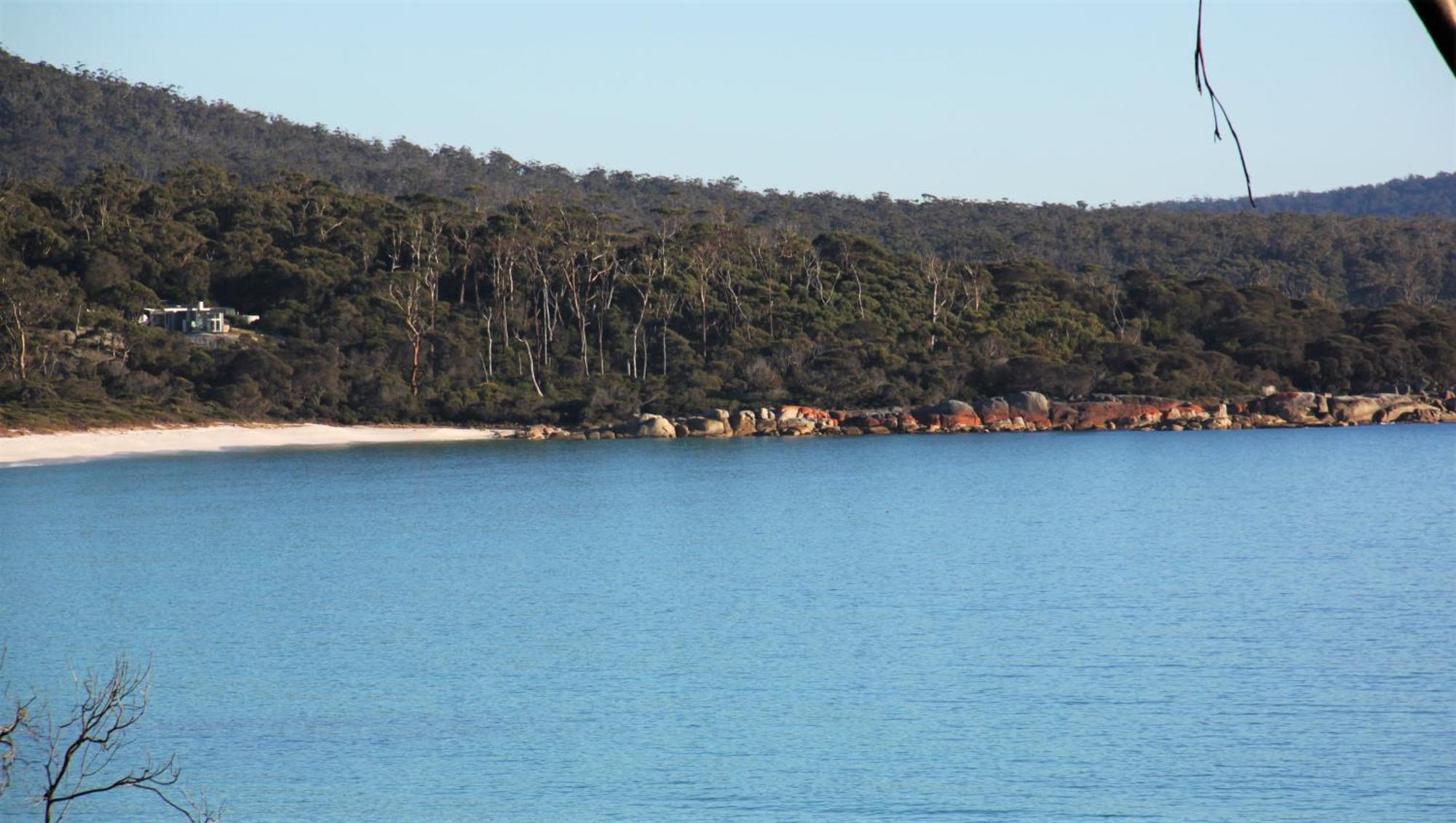 Kingfisher Cottage Beachfront At The Binalong Bay Екстериор снимка