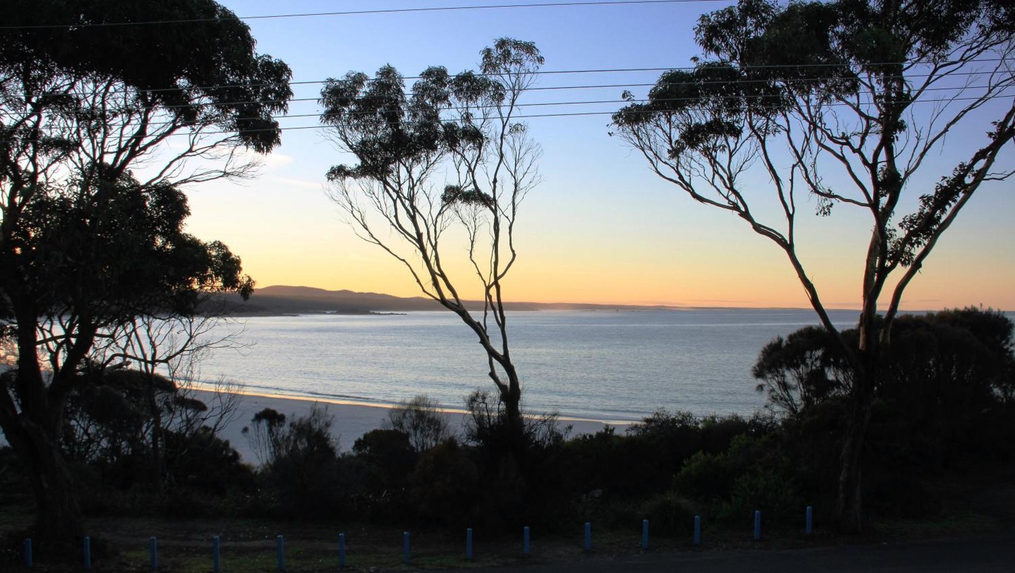 Kingfisher Cottage Beachfront At The Binalong Bay Екстериор снимка